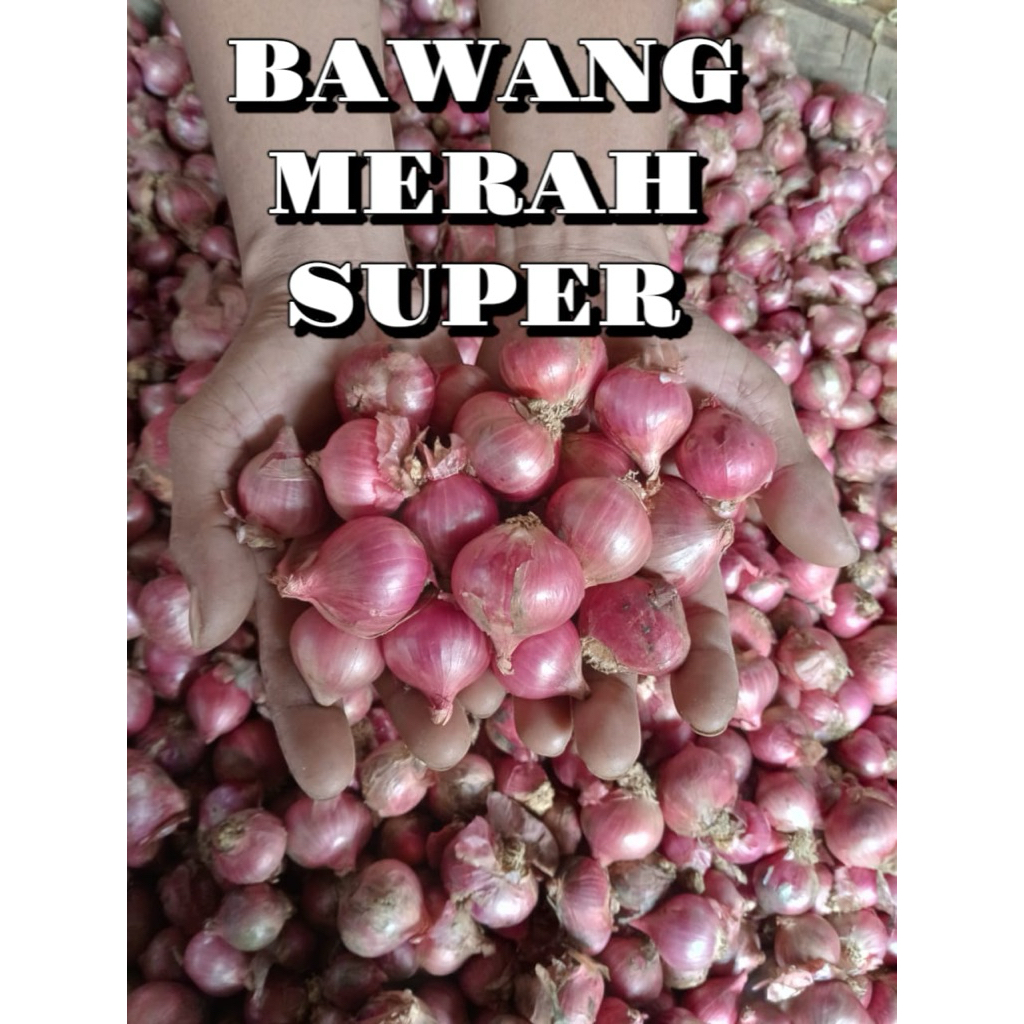 

BAWANG MERAH FRESH Hasil dari petani Super bawang