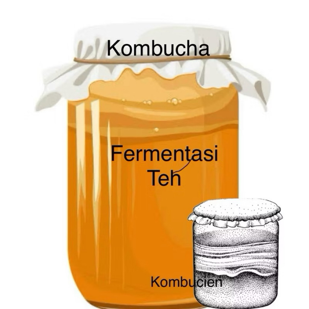 

Kombucha Original 250 ml
