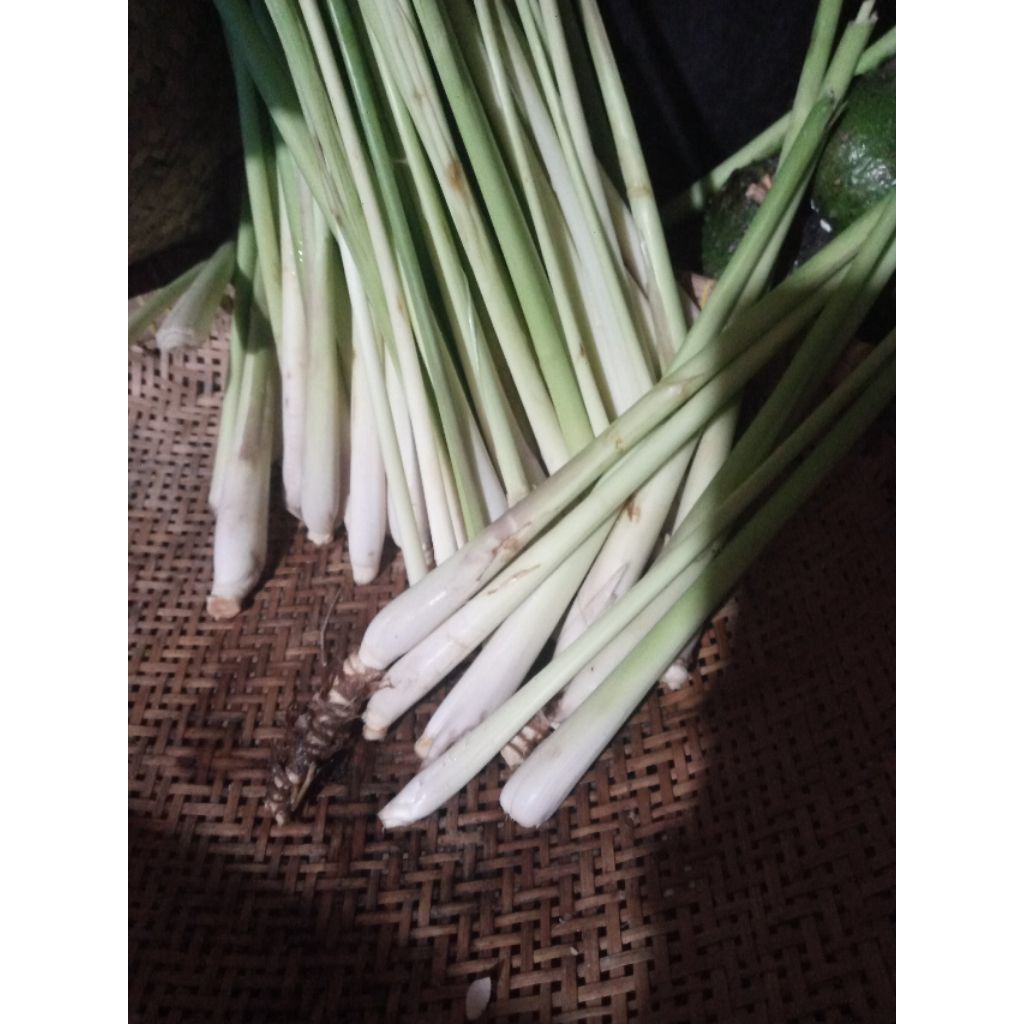 

sereh dapur bumbu segar 1kg