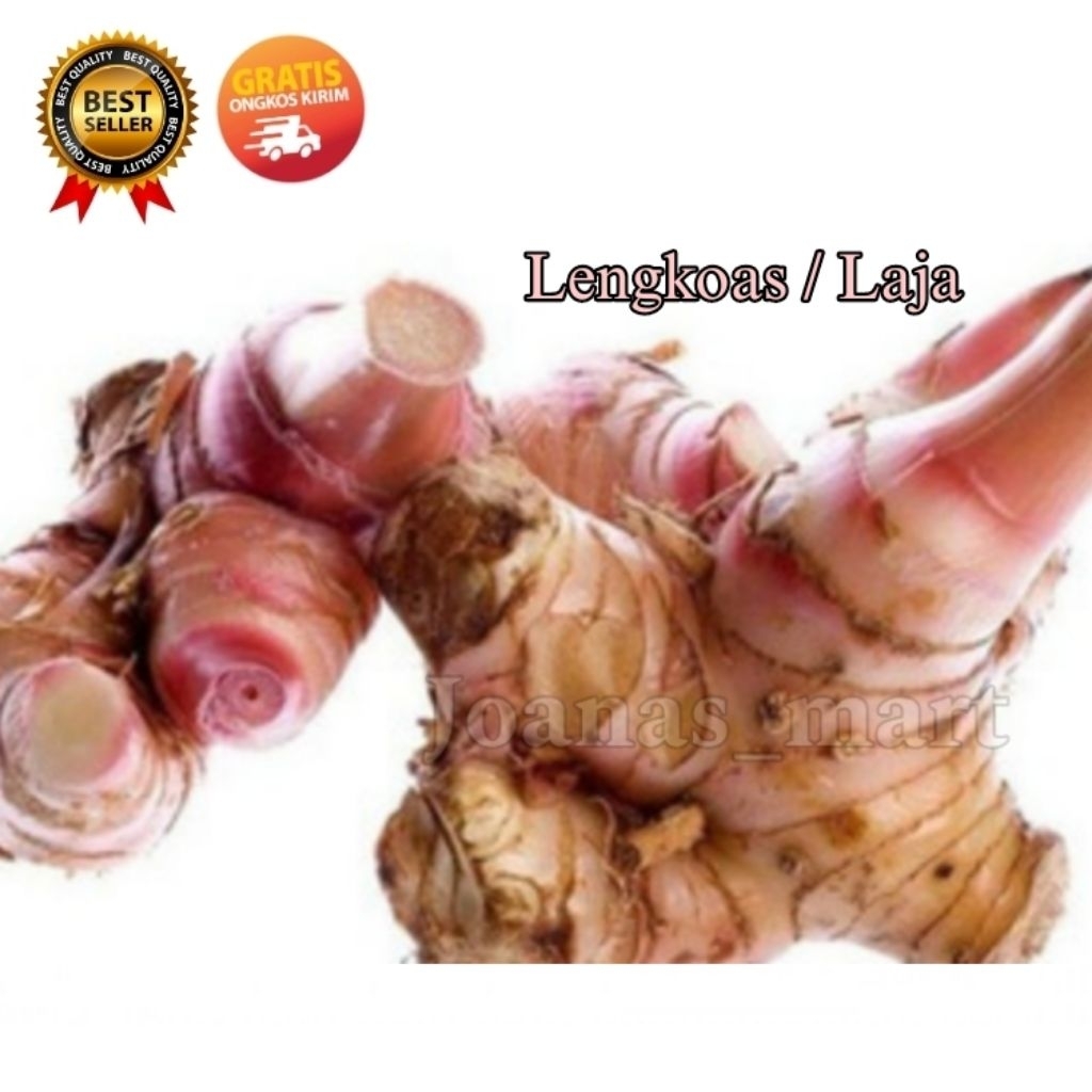 

Laja / Lengkuas / Laos