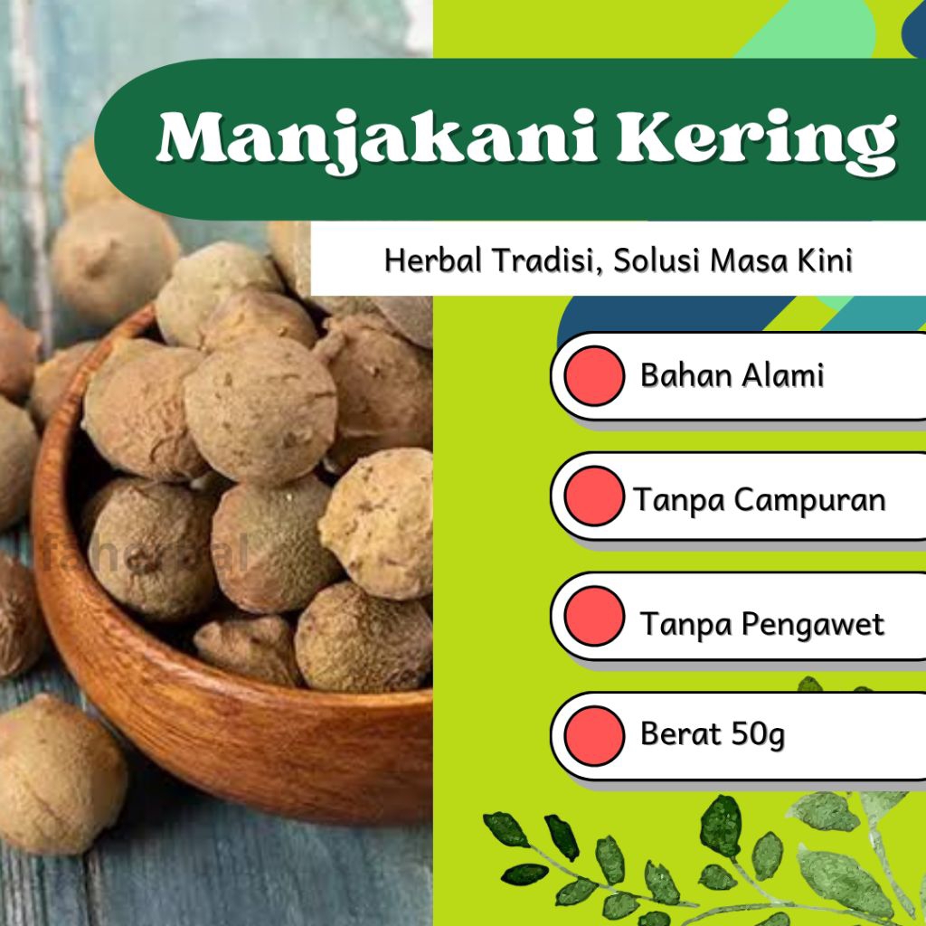 

Jamu Herbal Tradisional Buah Manjakani U/ Pengobatan Penyakit Keputihan
