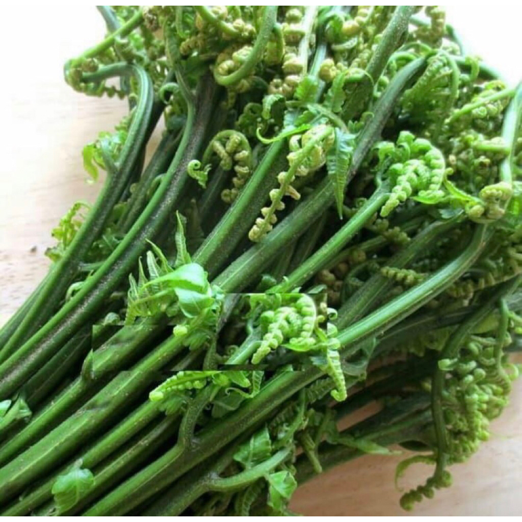 

Sayur Pakis Segar Per Iket