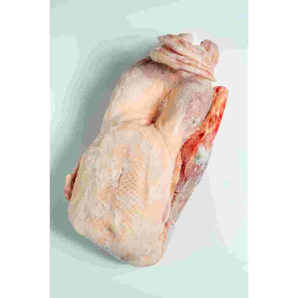 

Bebek ukuran 1,5kg frozen/bebek murah/bebek peking/daging bebek