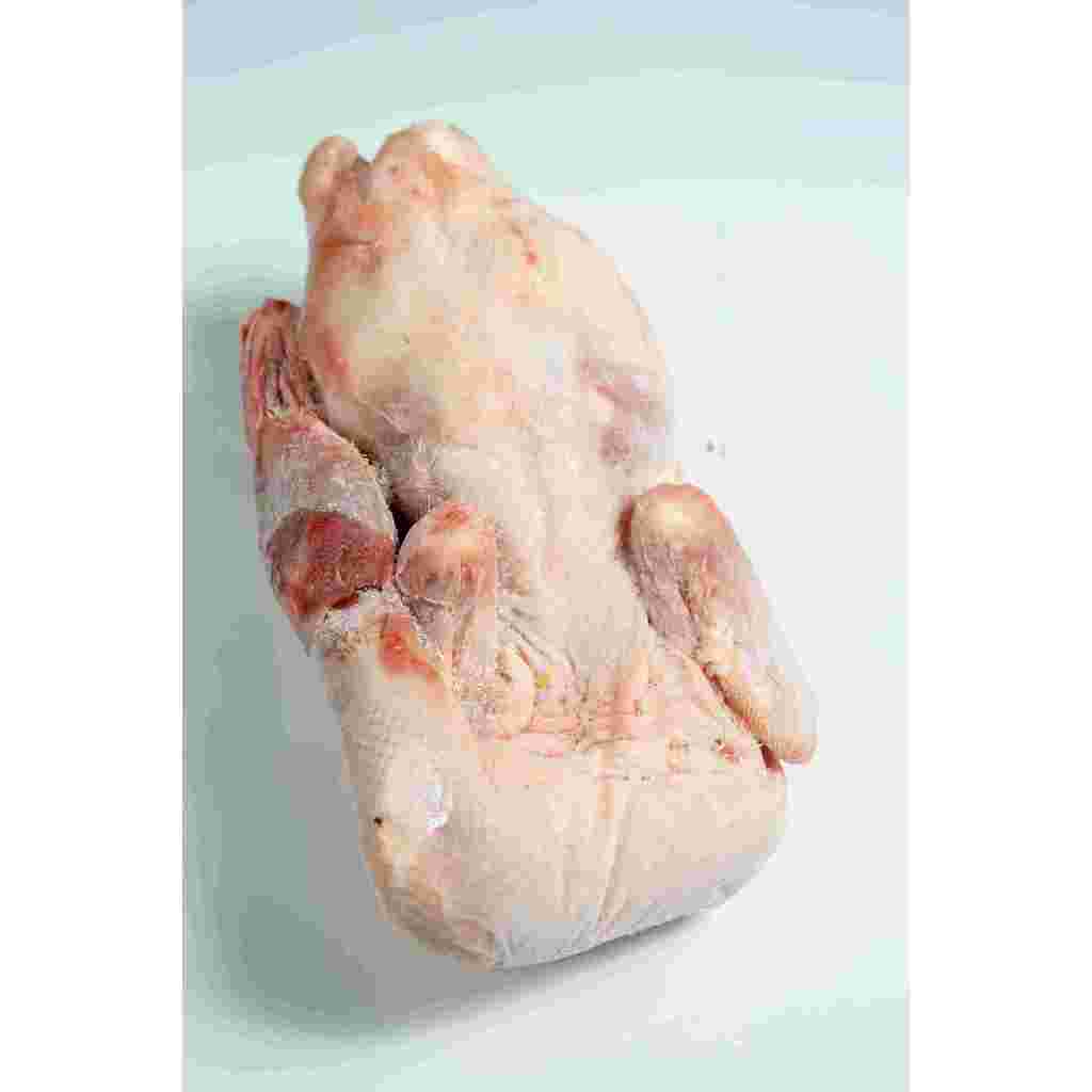

Bebek Peking MERK CP frozen 1,4kg berat bersih/tanpa jeroan/bebek peking murah/bebek potong