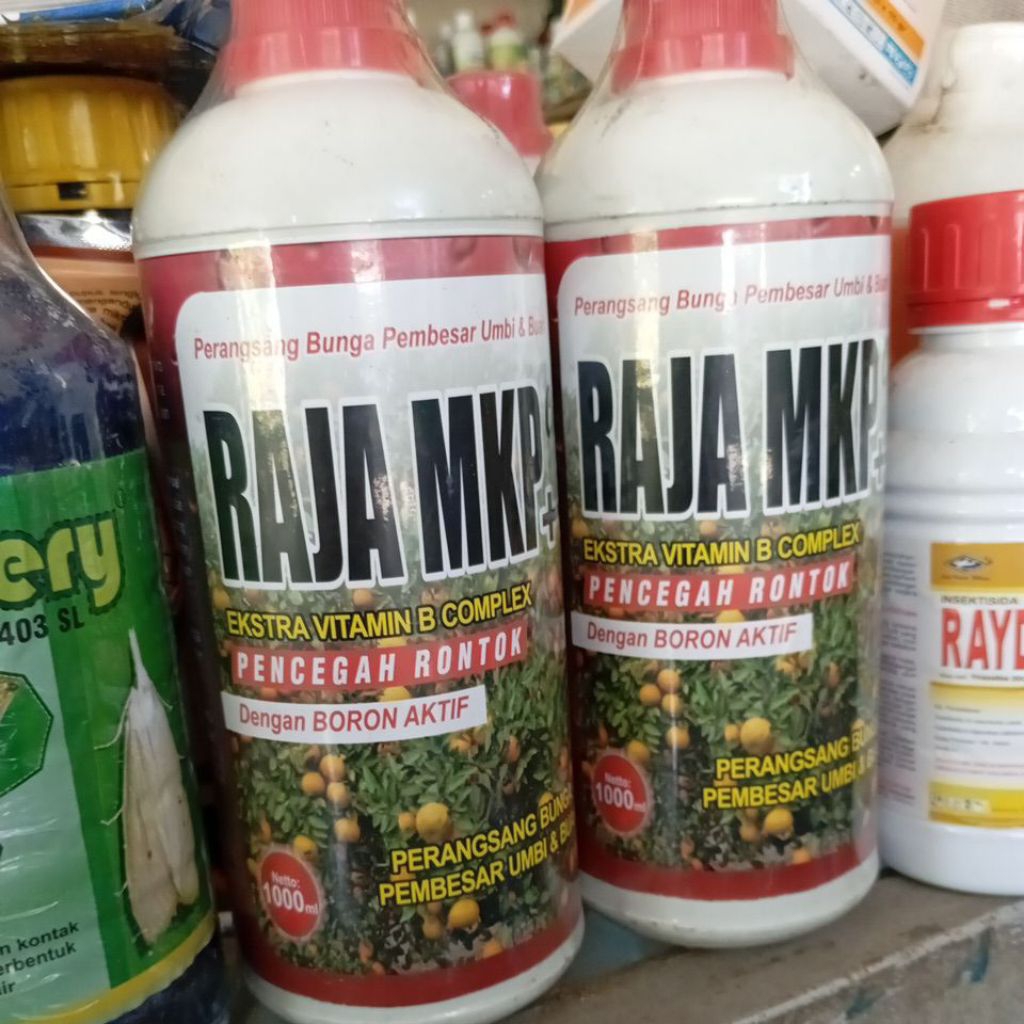 pupuk cair RAJA MKP ++ 1 liter. plus boron aktif. perangsang bunga pembesar umbi & buah