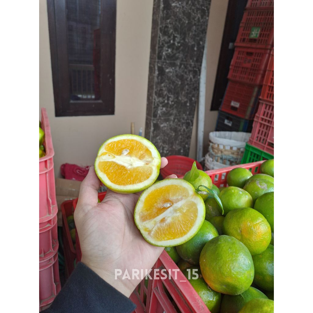 

Jeruk Baby Java Iris Manis 1 kg