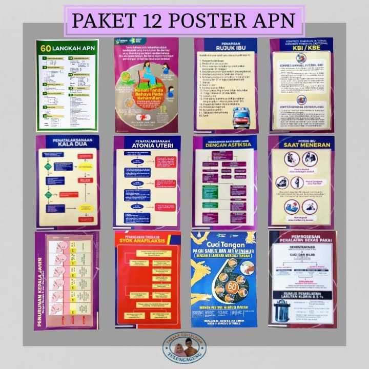 Paket Poster | 12 Lembar Poster APN Lengkap | Poster Kebidanan Kesehatan | Poster Persalinan
