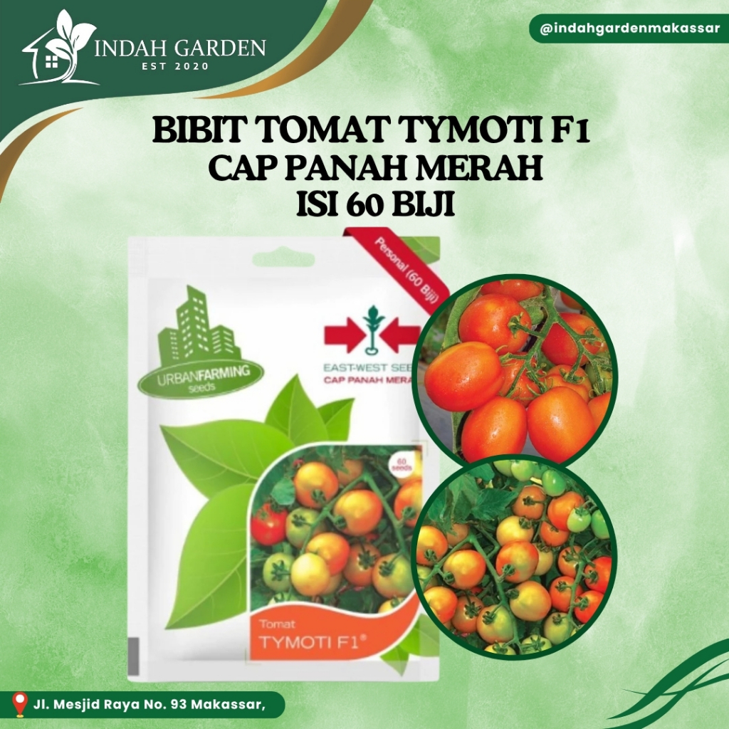 BIBIT TOMAT TYMOTI F1 / CAP PANAH MERAH
