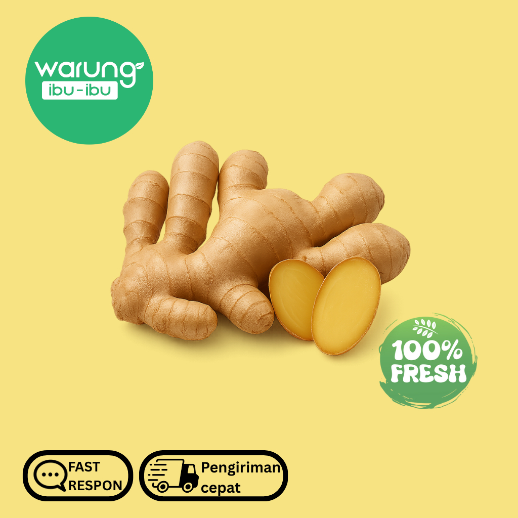

Jahe Putih Besar Segar Fresh