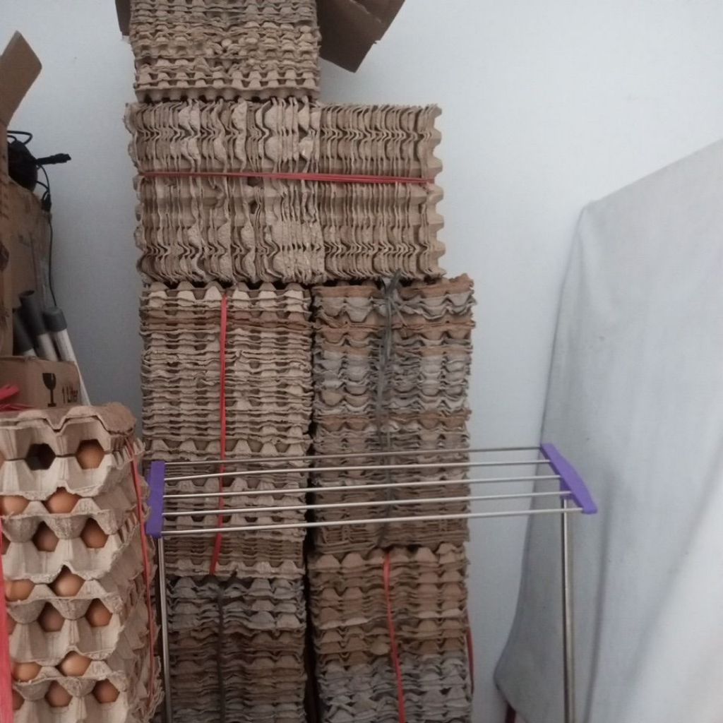 

eggtray kardus bekas telur ayam / telur puyuh
