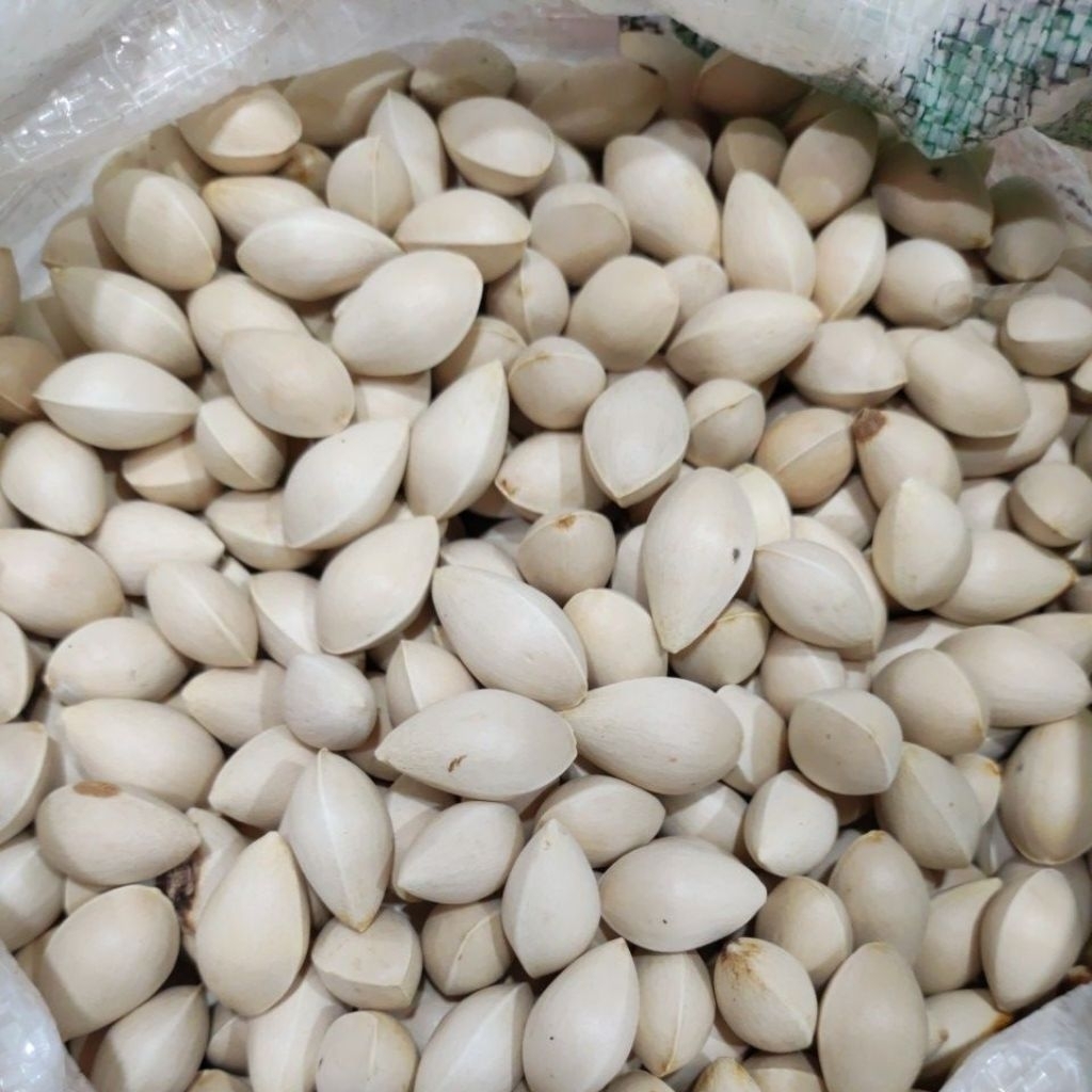 

Ginko nut,pek kue ,biji pek kue 250 gram