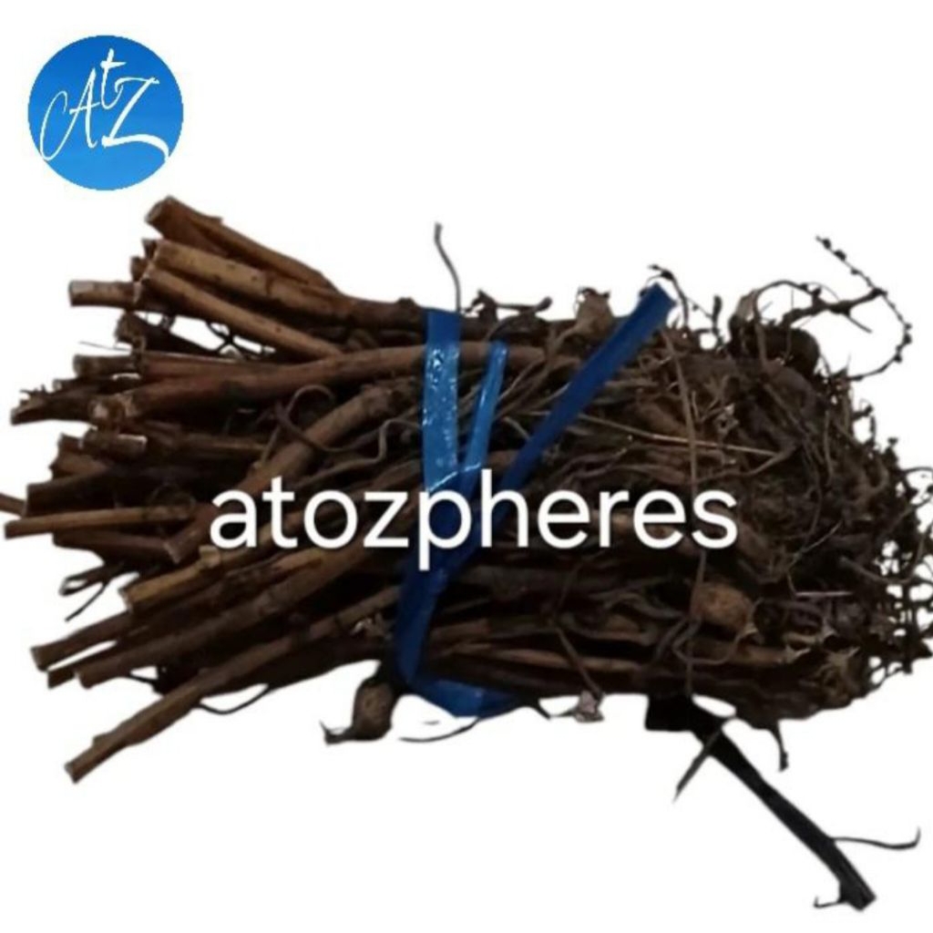 

Akar kacang tanah kering potong bersih