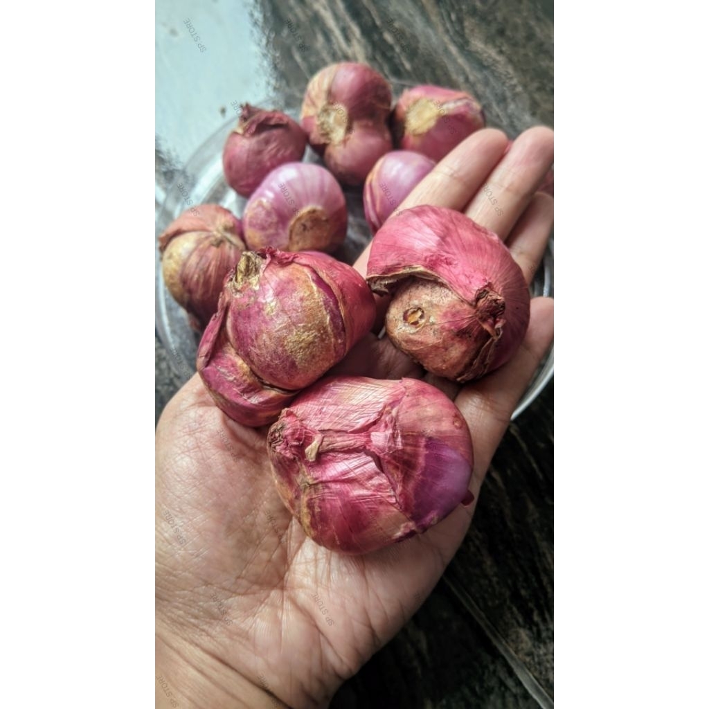 

BAWANG MERAH LOKAL SUPER BESAR JUMBO 1KG
