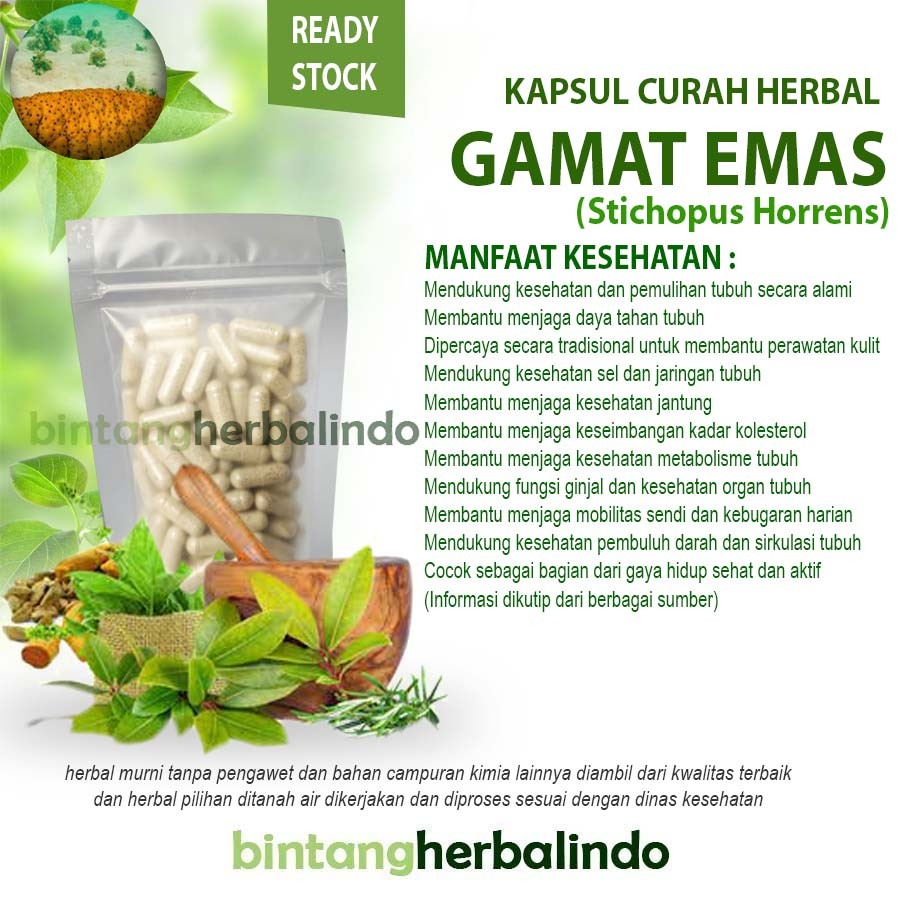 Kapsul Curah Herbal Gamat Emas 100 pcs Suplemen Alami Penunjang Kebugaran Daya Tahan Tubuh Harian