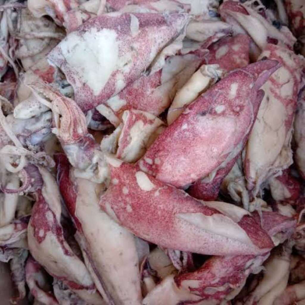 

CUMI ASIN GRADE A (big size)