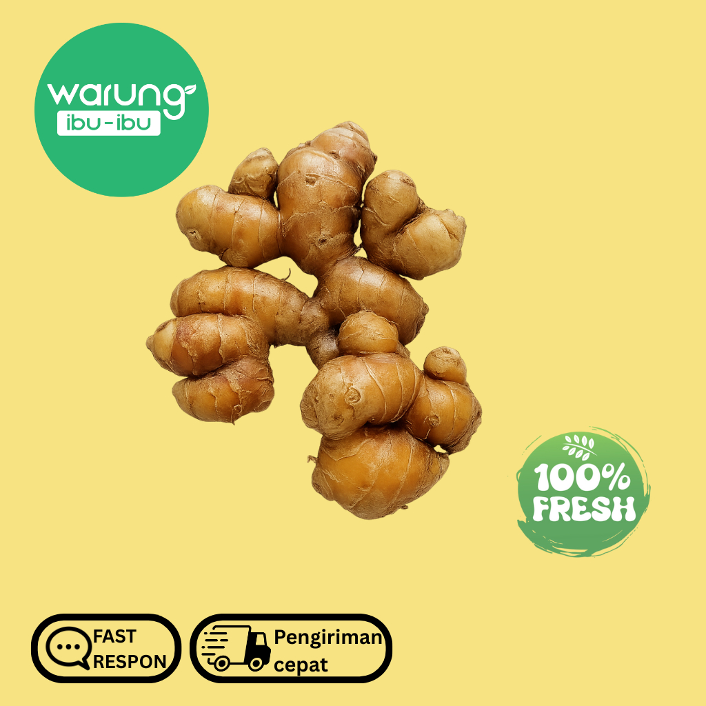 

Kencur Bersih Fresh Segar