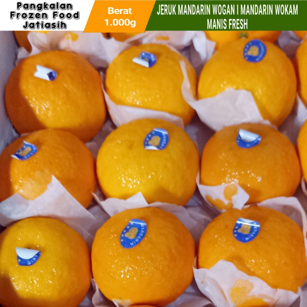 

Buah Jeruk Mandarin Wogan Manis I Jeruk Mandarin Wokam Manis Fresh I 1kg