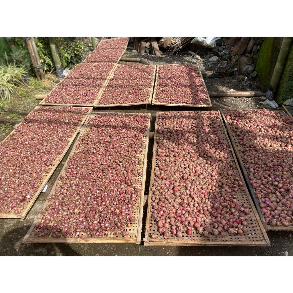 

Bawang Merah