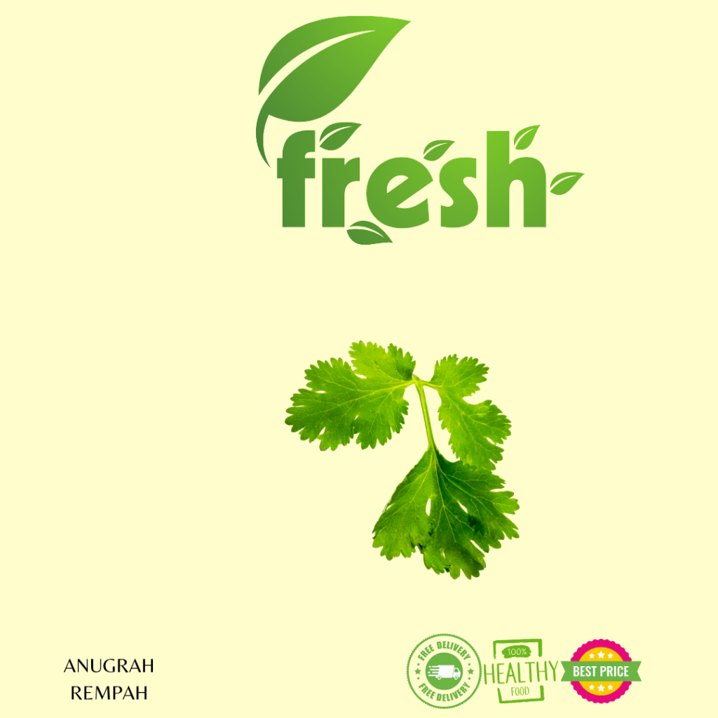 

Daun Ketumbar 1 Ikat Fresh Anugrah Rempah