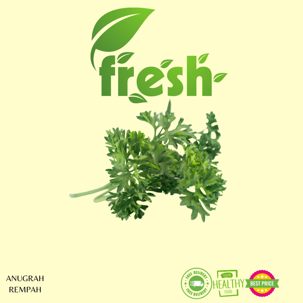 

Daun Parsley 1 Ikat FRESH ANUGRAH REMPAH