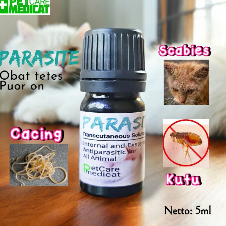 KODE E62V Obat Kutu Kucing Ampuh Obat Cacing Ampuh Obat Kutu Kucing Ampuh Obat Kutu Ampuh Obat Scabi