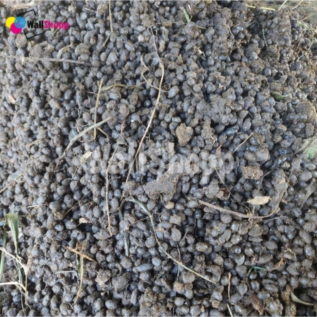 Pupuk Kandang Kohe Tai Kotoran Domba Organik Basah Campur Urin Untuk Tanaman 1kg Satu Kilo