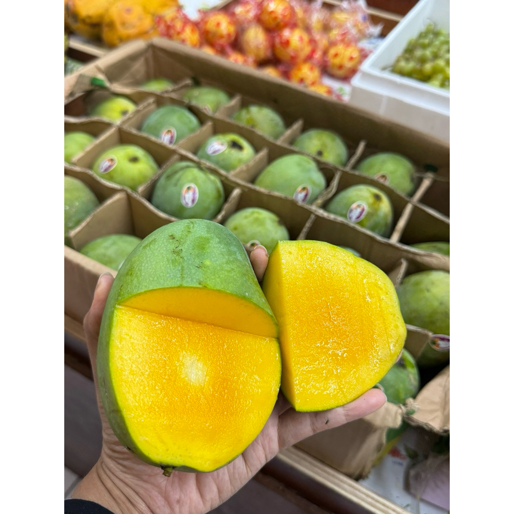 

Mangga Alpukat Manis nyiiisss