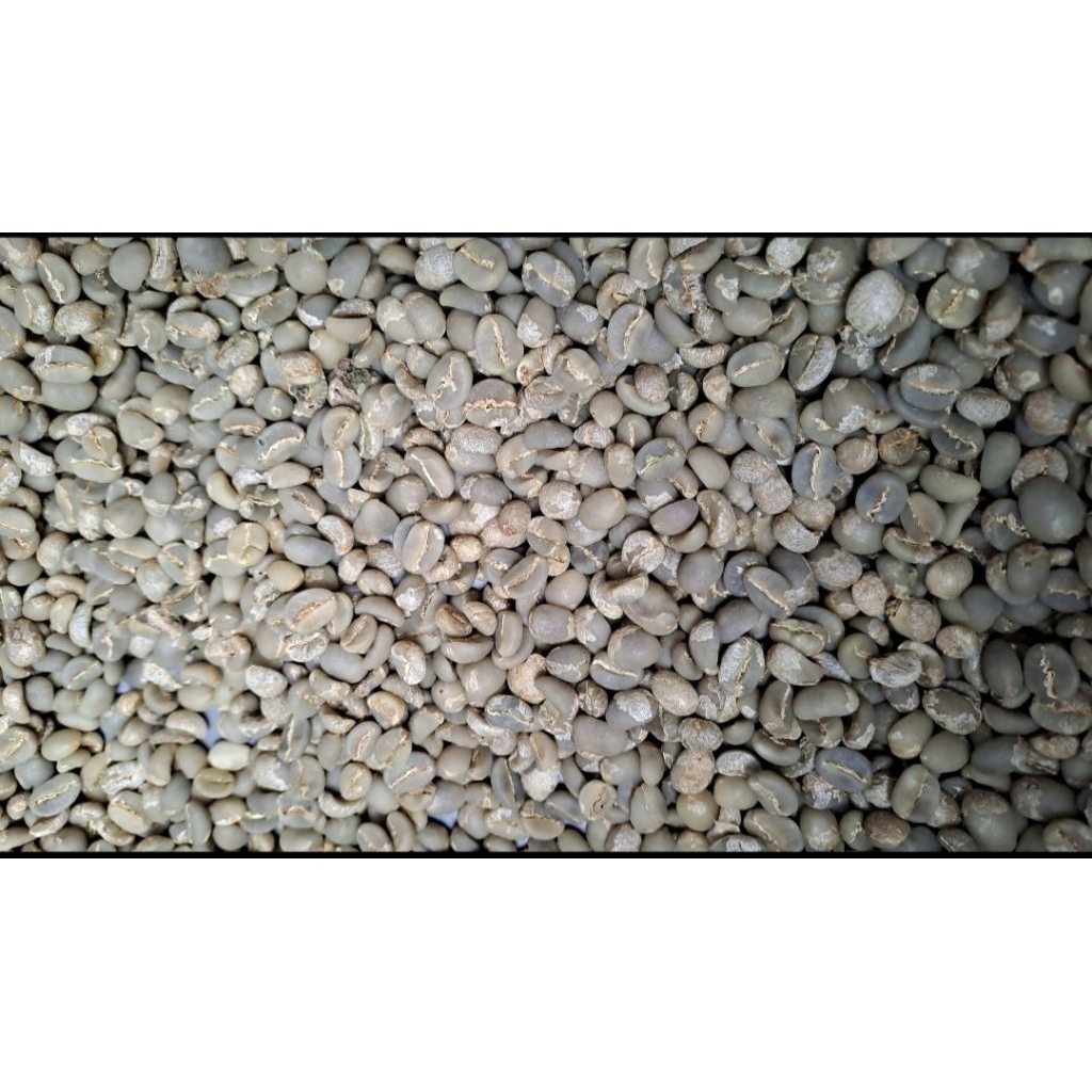 

Green beans kopi arabika ciwidey