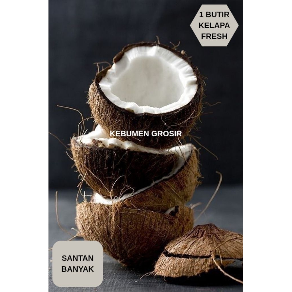 

KELAPA PARUT / KELAPA SANTAN FRESH 1 BUTIR