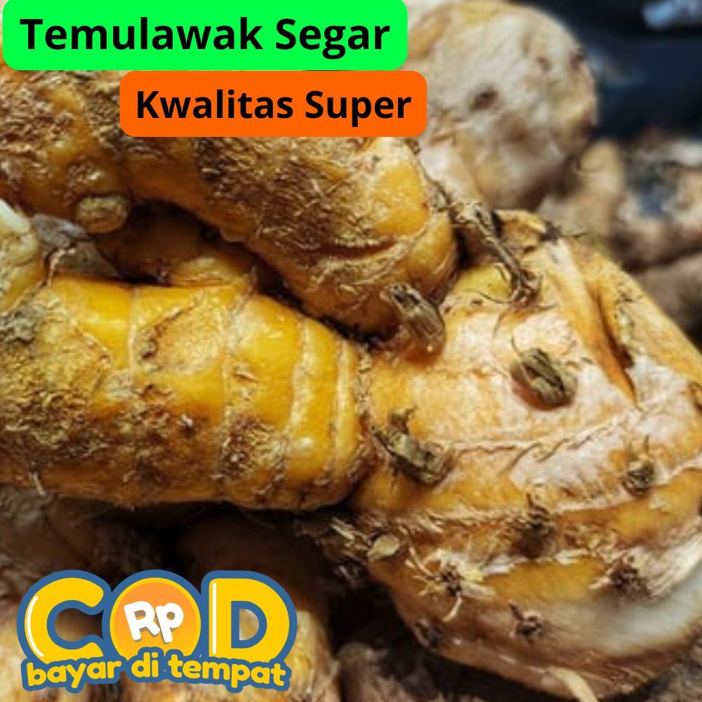 

Temulawak 1kg Segar herbal atasi Lambung Liver Hepatitis b antioksidan dan antibakteri