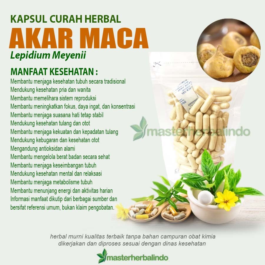Akar Maca 100 Kapsul Curah Herbal Penunjang Kebugaran Tubuh