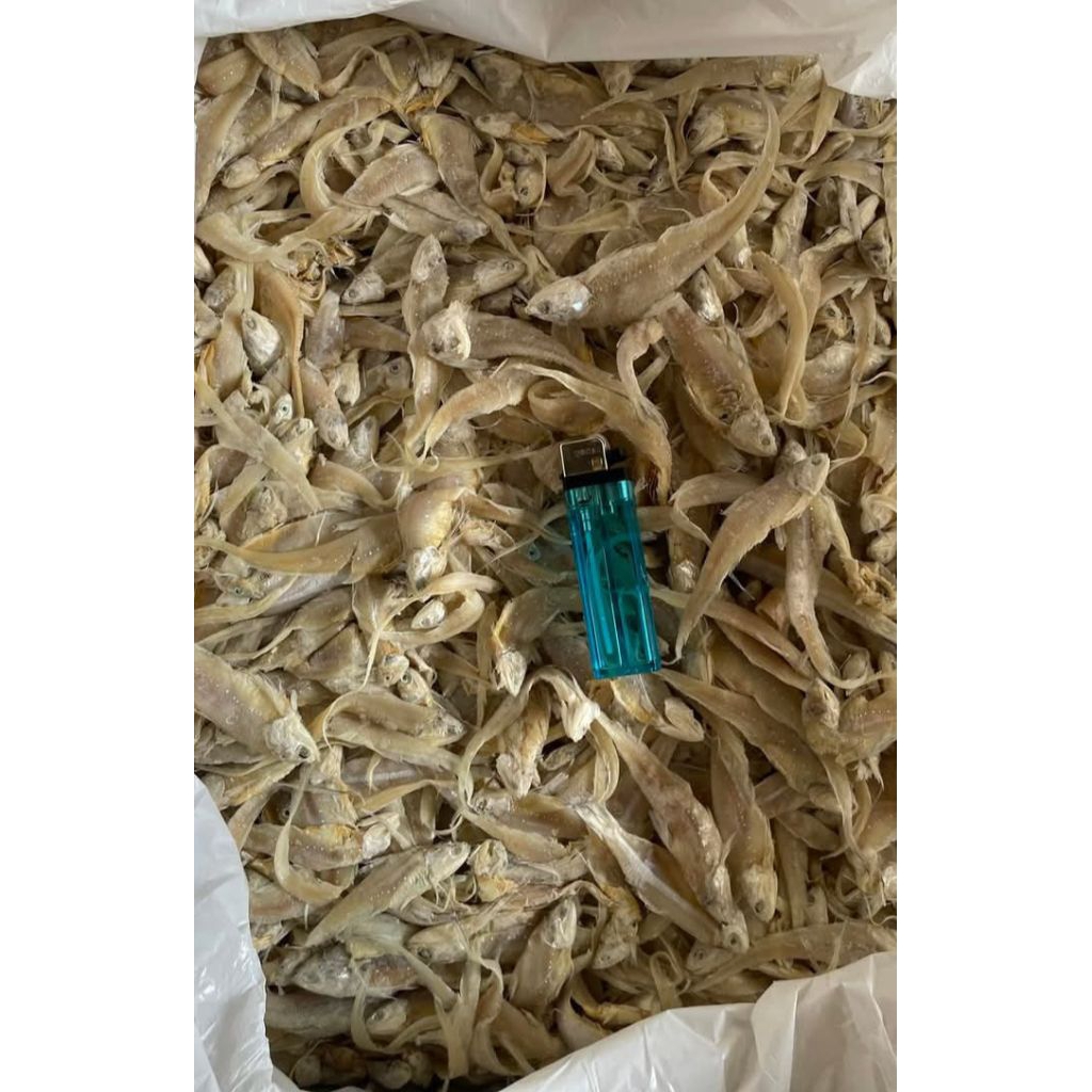 

Ikan Asin Bulu Ayam 1 KG