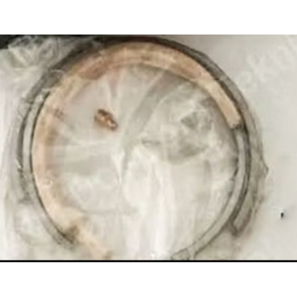 Seal Sil Sill Plummer Plumer Block Blok SN511 SN 511 TSNG511 Timken TSNG 511