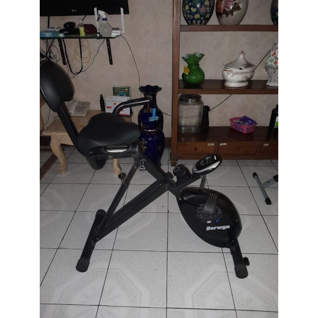 PRELOVED - Berwyn sepeda statis