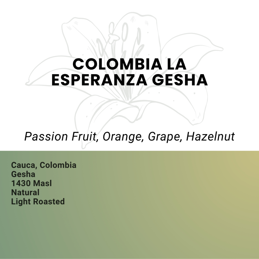 

Kopi Arabika Colombia La Esperanza Gesha - Single Origin