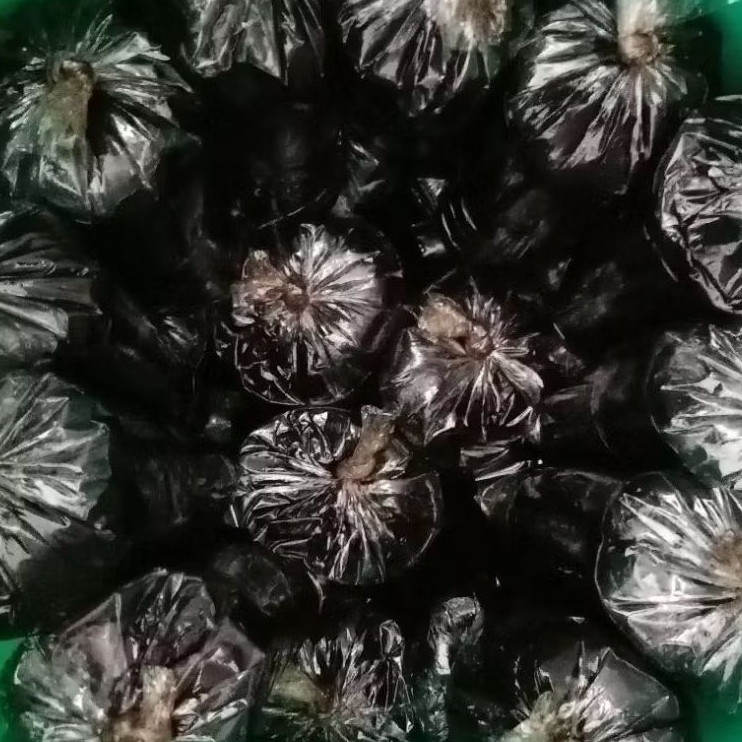 

petis hitam manis rasa khas madura asli / petis manis kemasan 1kg