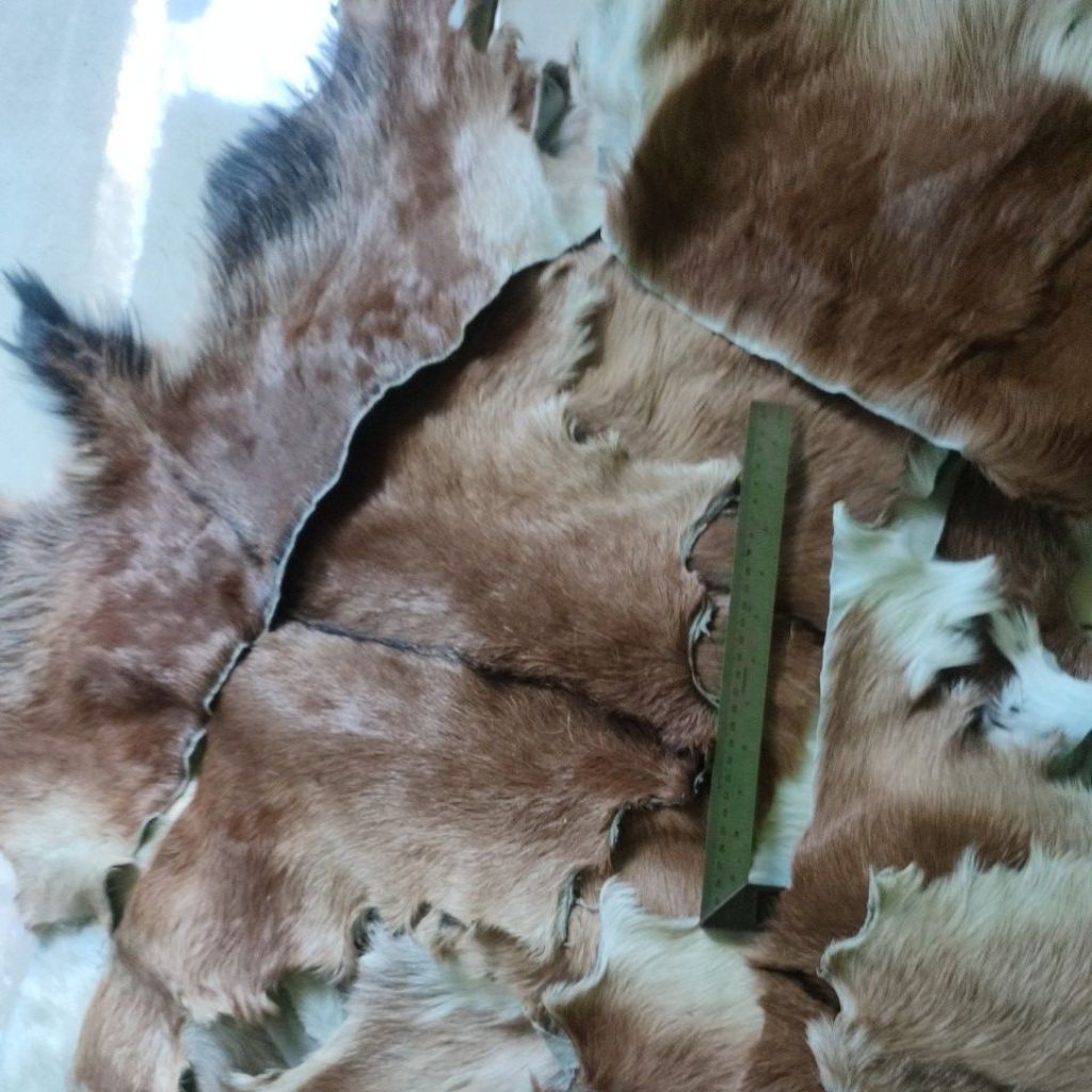 kiloan potongan kulit kambing sudah disamak