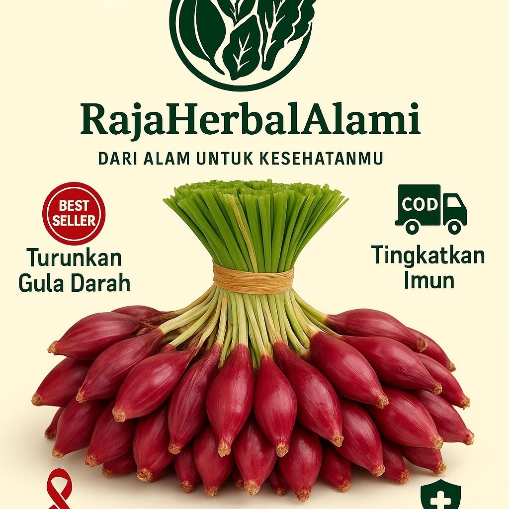 

Bawang Dayak Segar Asli Kalimantan - Obat Diabetes, Darah Tinggi & Tumor COD