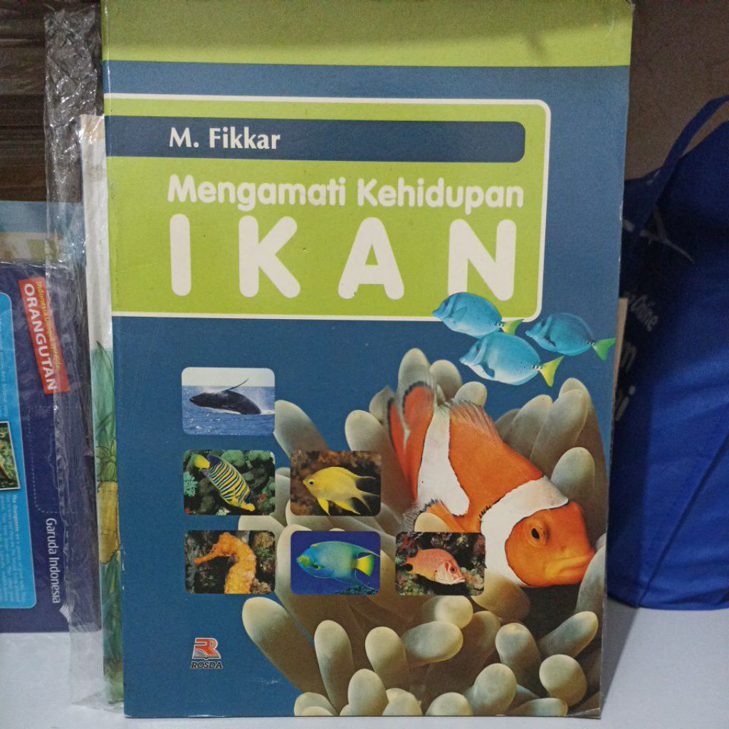 Mengamati kehidupan ikan