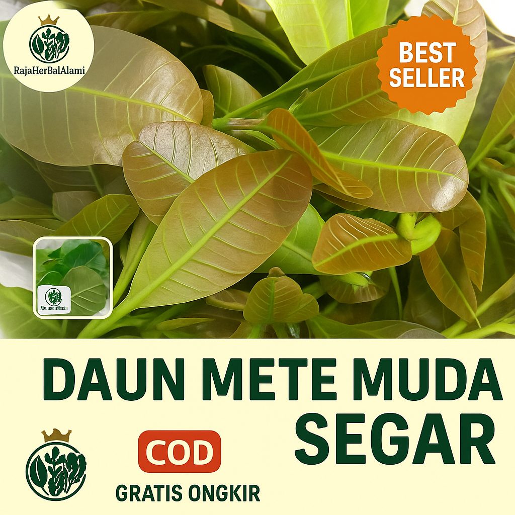 

Daun Mete Segar Siap Olah Obat Tradisional Terlaris I COD & GRATIS ONGKIR