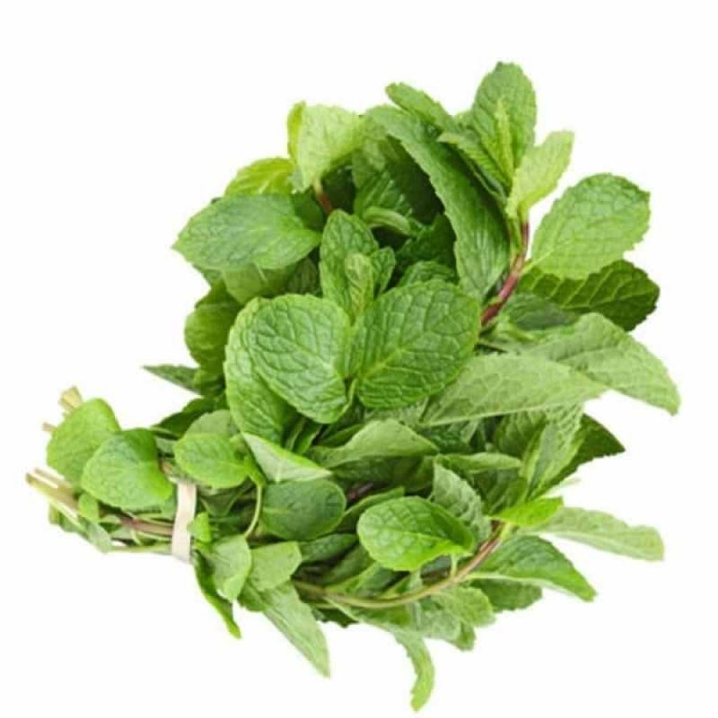 

Daun Mint Segar Kemasan 100g Peppermint Fresh