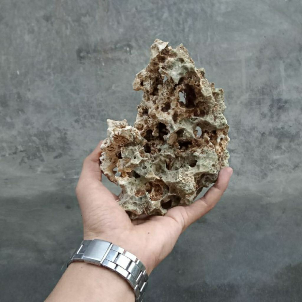 batu karang gunung bonsai