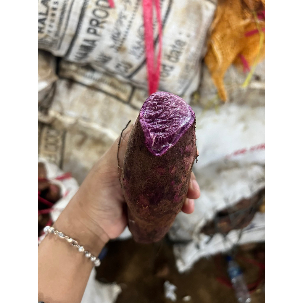 

UBI UNGU 1 KG