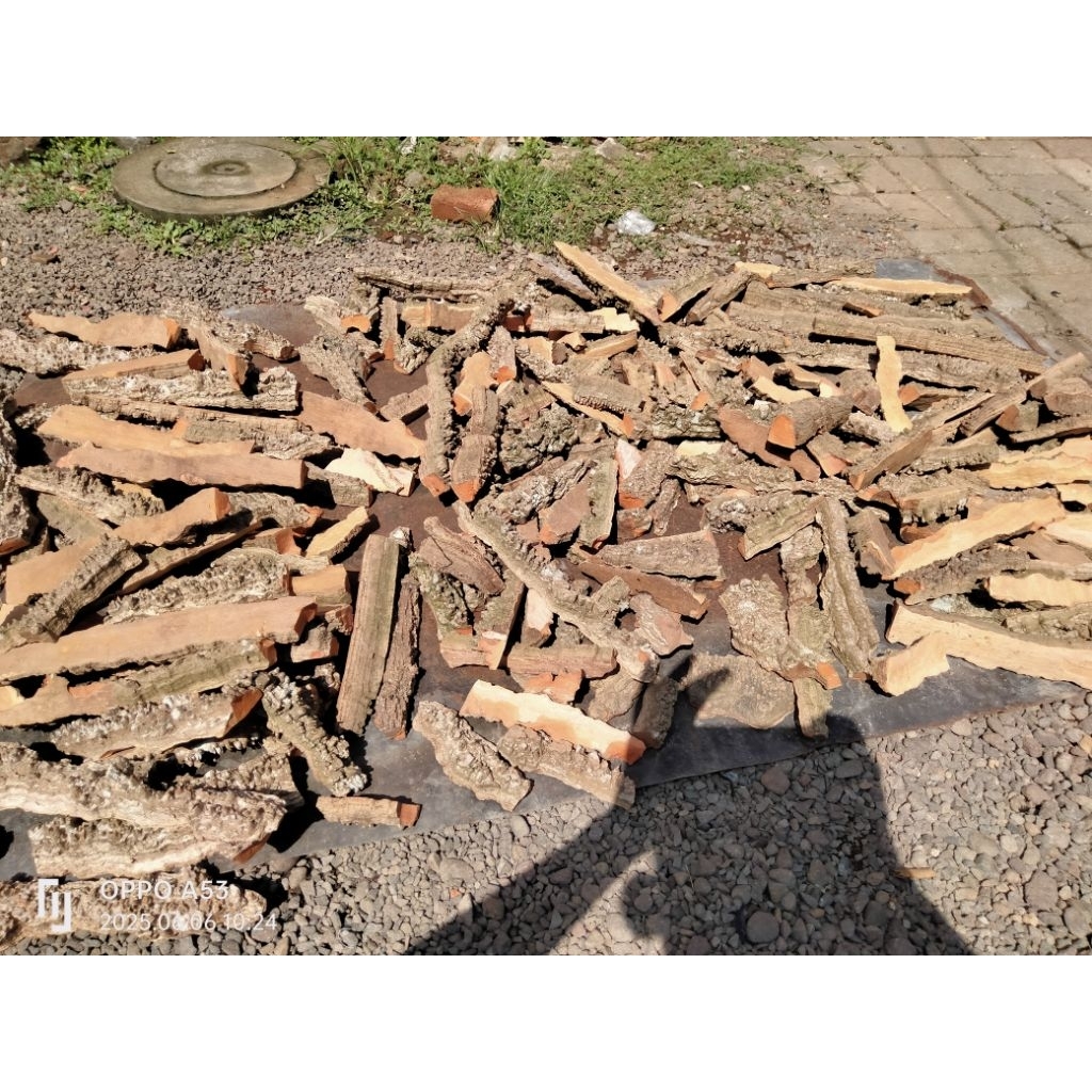 Kayu Kudopait | Kayu Sawangan | Sawangan Merpati | Kudopait |bahan sawangan | kayu cangkring | kayu 