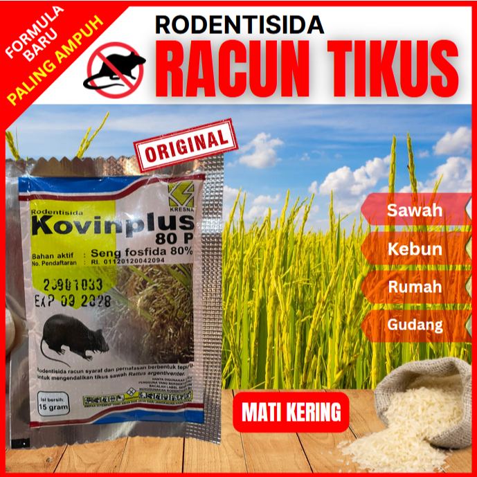 KOVINPLUS RACUN TIKUS ORIGINAL 80P PALING AMPUH MATI KERING 15gr 100gr 1kg RODENTISIDA