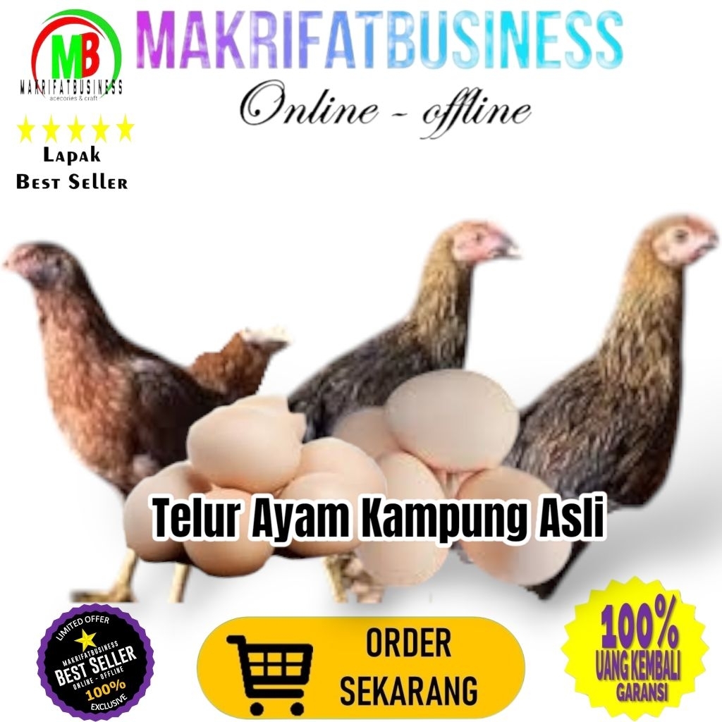 

MAKRIFATBUSINESS Paket 2 Pcs Size Kecil TELUR AYAM KAMPUNG ASLI Untuk Konsumsi Jamu Kesehatan Makanan Protein Gizi Tinggi