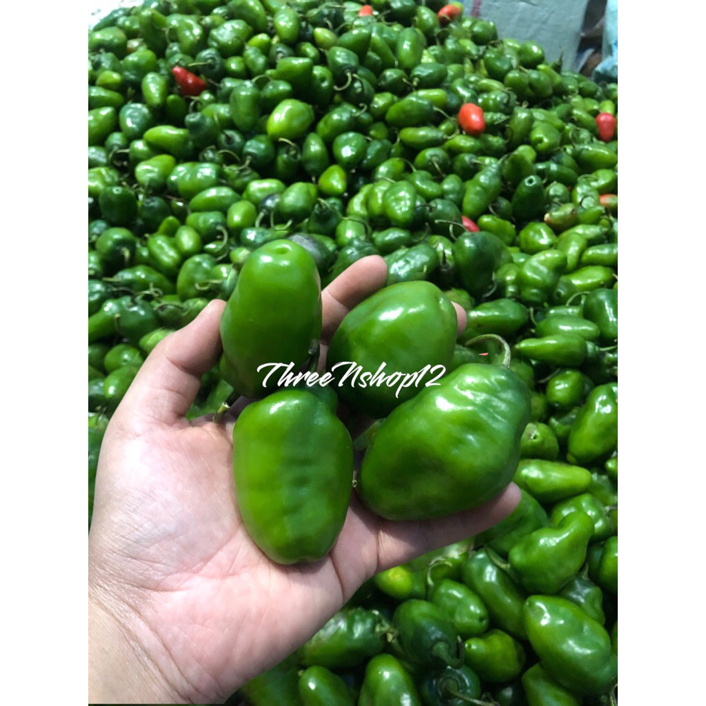 

CABE GENDOT 1kg SUPER PEDAS BANDUNG