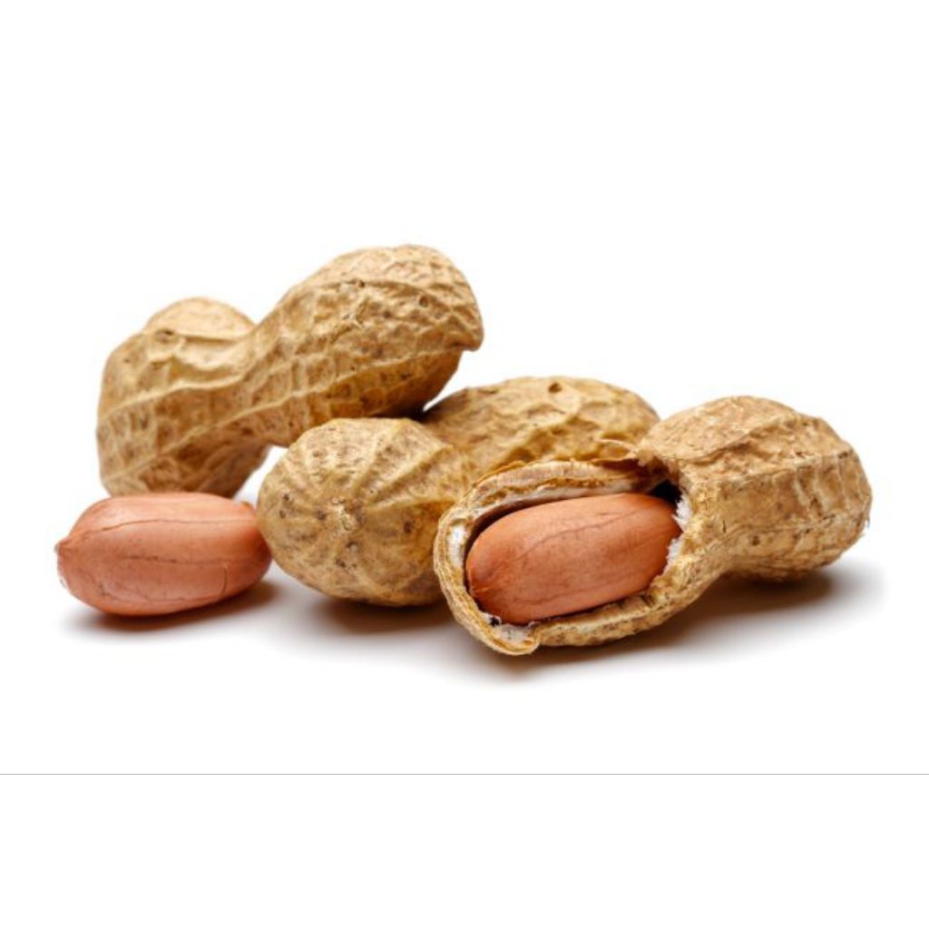 

kacang tanah berkualitas /biji