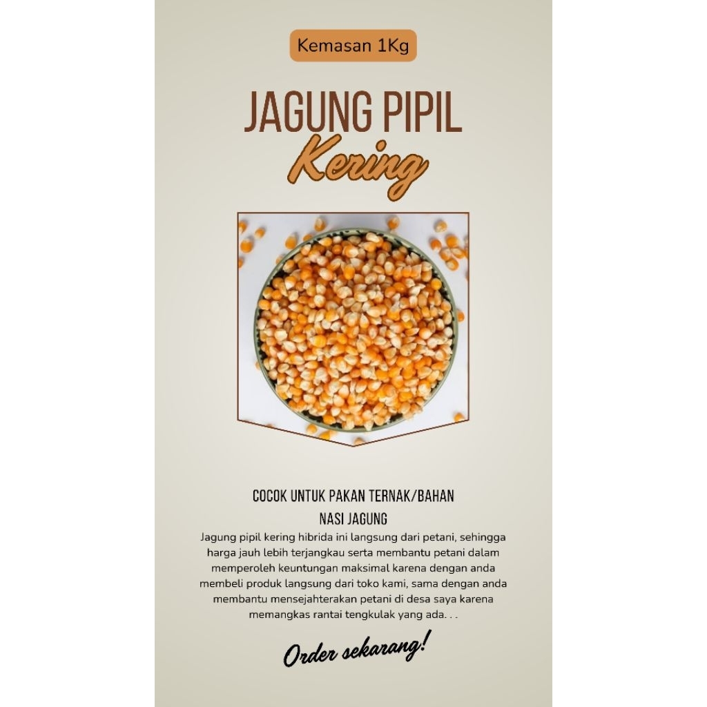 

jagung pipil kering, jagung pakan ternak