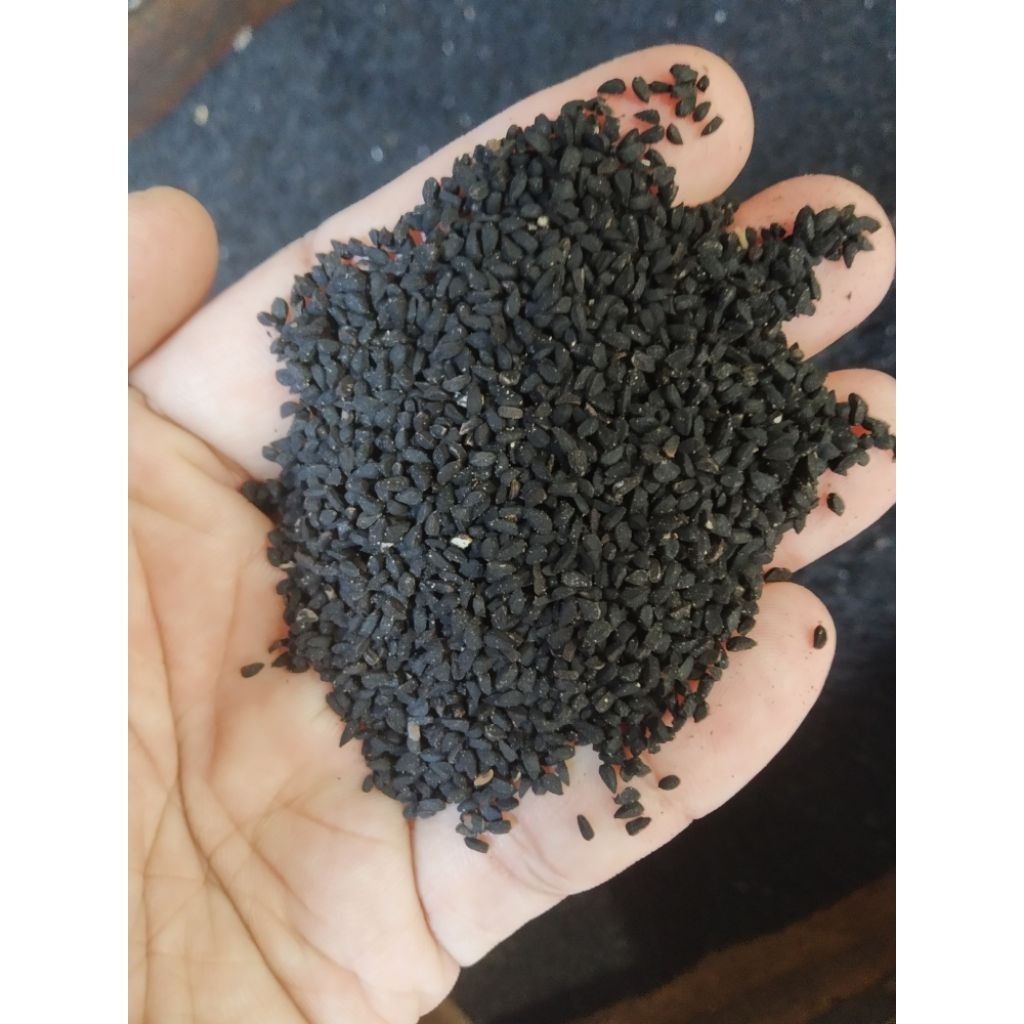

jinten hitam / ireng / habatusauda 1kg